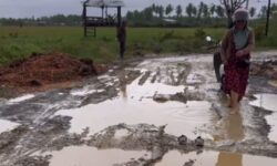 Jalan Berkubang Lumpur di Sebatik 2 Tahun Bikin Warga Celaka, Nadia Desak Perbaikan