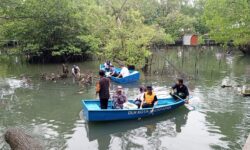 Aksi Bersih Mangrove di Balikpapan, DLH Sindir Perusahaan di Sekitar