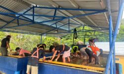 Perumda Air Minum Tirta Taka Nunukan Selesai Pengurasan Enam Unit IPA, Air Mengalir Lagi