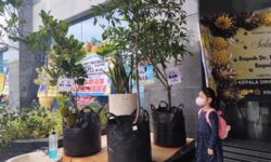 Pohon Buah Sambut Gubernur-Wagub Baru Kaltim