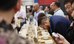 Specialty Coffee Expo 2025 di Houston, Indonesia Tampilkan Keunggulan Kopi Nusantara