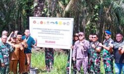 Satgas PKH Sita Kebun Sawit Tanpa Proses Pengadilan