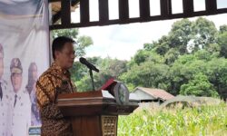 Kaltim Gaungkan School Gardening, Ketahanan Pangan Dimulai dari Bangku Sekolah