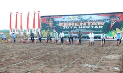 Swasembada Jagung 2025, Kementan dan Polri Targetkan Tambahan Produksi 4 Juta Ton