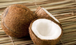 Harga Kelapa Juga “Menggila” di Samarinda, Tembus Rp17.000/Butir