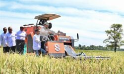 Petani Tulang Punggung Bangsa dan Negara