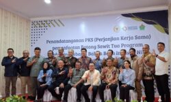 Nira Sawit, Peluang Ekonomi Baru untuk Petani