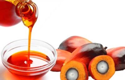 Harga Referensi CPO dan Biji Kakao Desember Turun