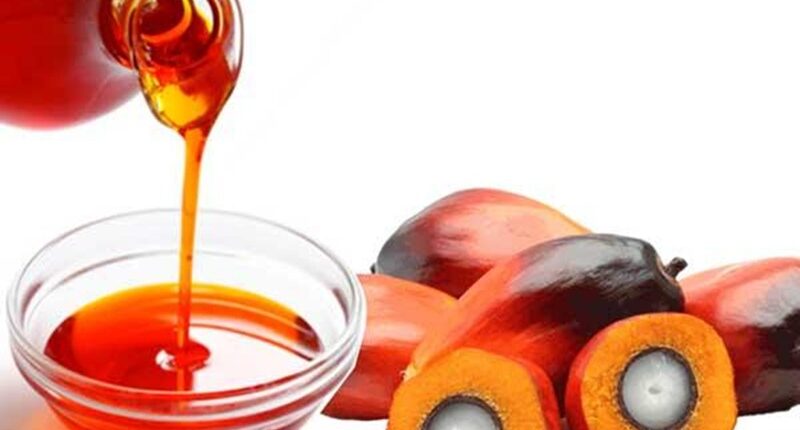 Harga Referensi CPO Periode Januari 2026 Sebesar USD 915,64/MT