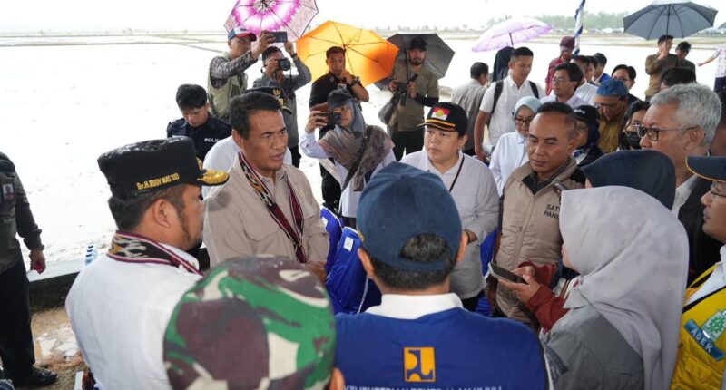 Mentan Tinjau Kegiatan dan Kawasan Pertanian di Penajam Paser Utara