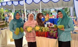 TP PKK Kaltim Dorong Ketahanan Pangan Keluarga Lewat Pemberdayaan Kebun dan Buah Lokal