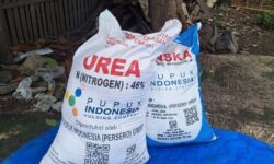 Kelangkaan Pupuk Bersubsidi di Penajam Paser Utara Diduga Ada Permainan Distribusi