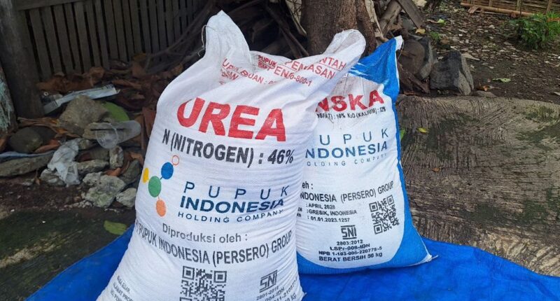 Guntur: Penyimpangan Pupuk Bersubsidi karena Minimnya Pengawasan