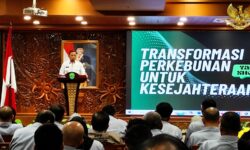 Pesisir Kaltim Punya Potensi Besar jadi Sentra Kelapa
