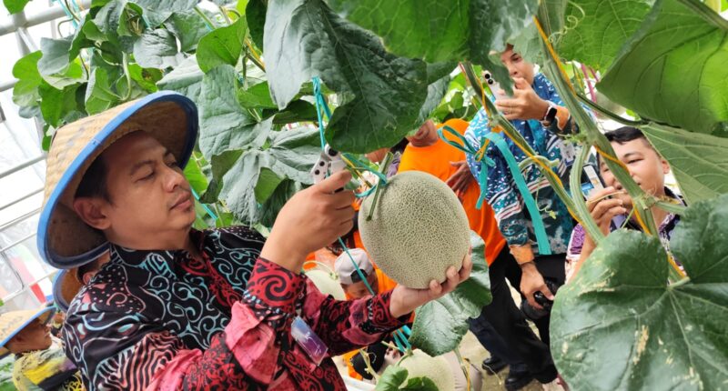 Pertanian Inovatif, SMK-SPP Negeri Samarinda Sudah Bisa Jadi Role Model