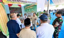 Prabowo Tinjau Stan Hilirisasi Jagung di Bengkayang