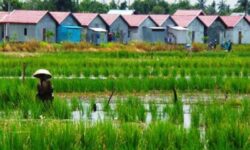 Lahan Pertanian Terus Tergerus, Sapto Minta Daerah Tahan Alih Fungsi