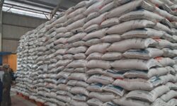 Stok Kebutuhan Bahan Pokok di Kaltim Aman 6-9 Bulan ke Depan