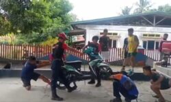 Di Motornya Ada Ular Kobra, Ibu di Nunukan Minta Tolong Damkar