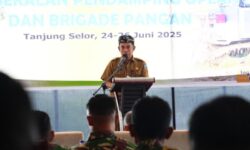 Kaltara Targetkan Tahun 2025 Luas Lahan Tanam Padi 32.549 Hektar