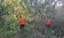 Warga Hilang di Hutan Batu Dinding