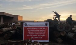 Kemenhut Tindak Peredaran Ratusan Kubik Kayu Bulat Ilegal di Ketapang