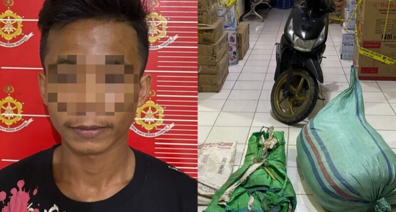 Polres Nunukan Tangkap Dua Pencuri 200 Rumput Laut Kering Senilai Rp375 Juta