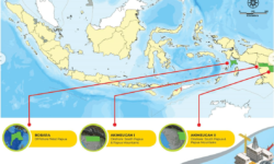 Total Energies Masuk ke WK Bobara
