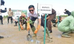 Cegah Abrasi Pantai, Bupati Irwan-Danrem 092 Maharajalila Tanam Mangrove di Sebatik