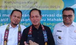 Terancam Terus Menyusut, Populasi Pesut di Kaltim Tersisa 62 Ekor