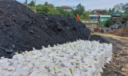 Tambang Batubara Tanpa Izin di Sekitar IKN Tidak Hanya Melibatkan Masyarakat Sipil