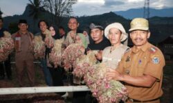 Pemprov Kaltara – Pemkab Enrekang Siap Jalin Kerja Sama Jaga Stabilitas Pangan Nasional