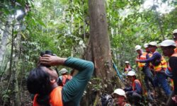 Bentang Alam Wehea-Kelay Jadi Laboratorium Raksasa Konservasi Satwa Langka