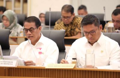 Pemerintah Targetkan Produksi Beras Capai 33,8 Juta Ton