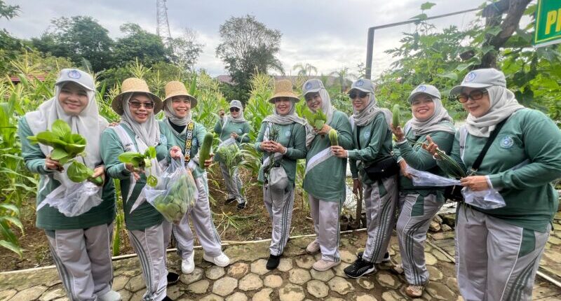 Kebun PKK Kaltim Panen Perdana Sayuran Segar dan Bergizi