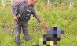 Pegawai Honorer Pemkab Yahukimo Ditemukan Tewas Terbunuh