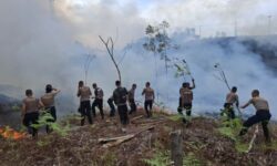 50 Personel Ditsamapta Polda Kaltara Padamkan Karhutla di Tanjung Selor KM 6