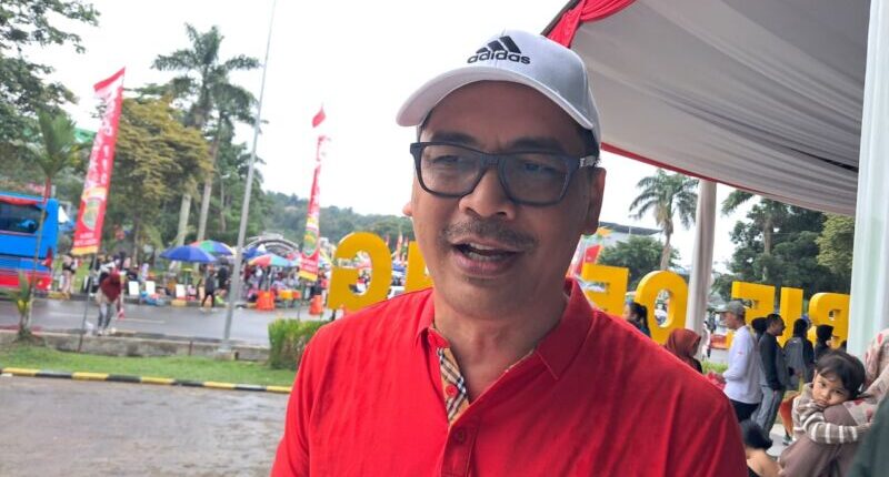 M Faisal: Jangan Sandingkan Bendera One Piece dengan Merah Putih