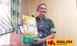 Tingkatkan Pangan Nasional, Kodim 0911 Nunukan Optimalisasi 1.000 Hektar Lahan Sawah
