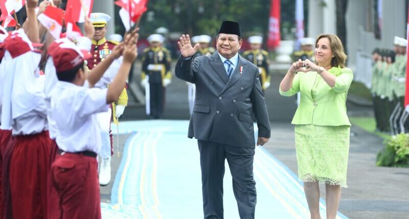 Presiden Prabowo Apresiasi Dukungan Peru terhadap Solusi Dua Negara Isu Palestina
