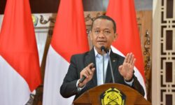 Menteri ESDM: Semester I  Tahun 2025 Kapasitas Terpasang Pembangkit Meningkat 4,4 GW