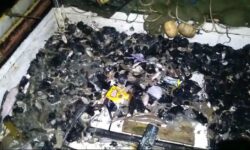 Nelayan Balikpapan: Berangkat Niatnya Menangkap Ikan, Dapatnya Batubara