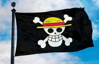 Pengibaran Bendera One Piece jelang Hari Kemerdekaan ke-80 RI Hanya Hiburan
