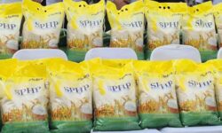 Mendagri Dorong 214 Pemda Dukung Penyaluran Beras SPHP untuk Kendalikan Harga