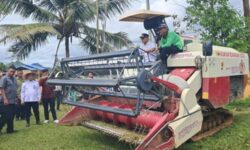 Petani Kaltim Kesulitan Modal Berinvestasi dalam Teknologi Modern