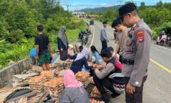 Pikap Terguling di Tanjakan Jalan Sebatik Barat, Ratusan Telur Terhambur di Jalan