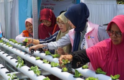 Dorong Kemandirian Pangan, Srikandi PLN UID Kaltimra Hadirkan Kebun Gizi Lansia di Samarinda