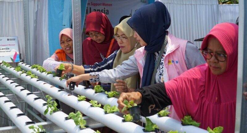 Dorong Kemandirian Pangan, Srikandi PLN UID Kaltimra Hadirkan Kebun Gizi Lansia di Samarinda