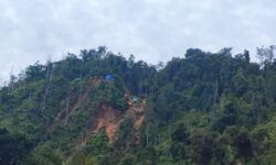 Ratusan Hektare Lahan Tambang Ilegal Kembali ke Negara