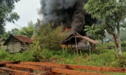 KKB Kembali Tembaki Warga Sipil  dan Bakar Rumah Korban